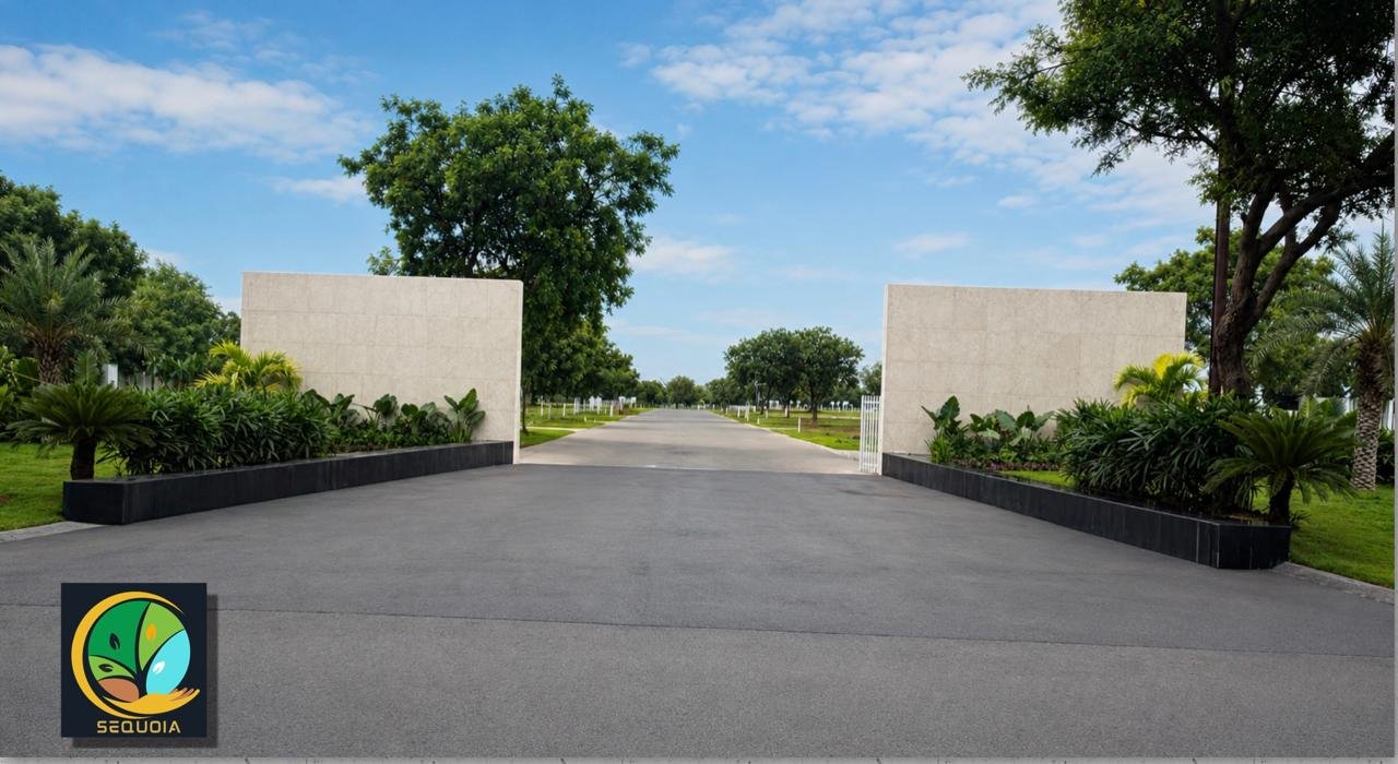 A formal landscape entrance framed by symmetrical tropical planting